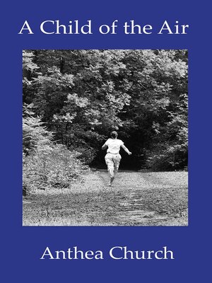 cover image of A Child of the Air